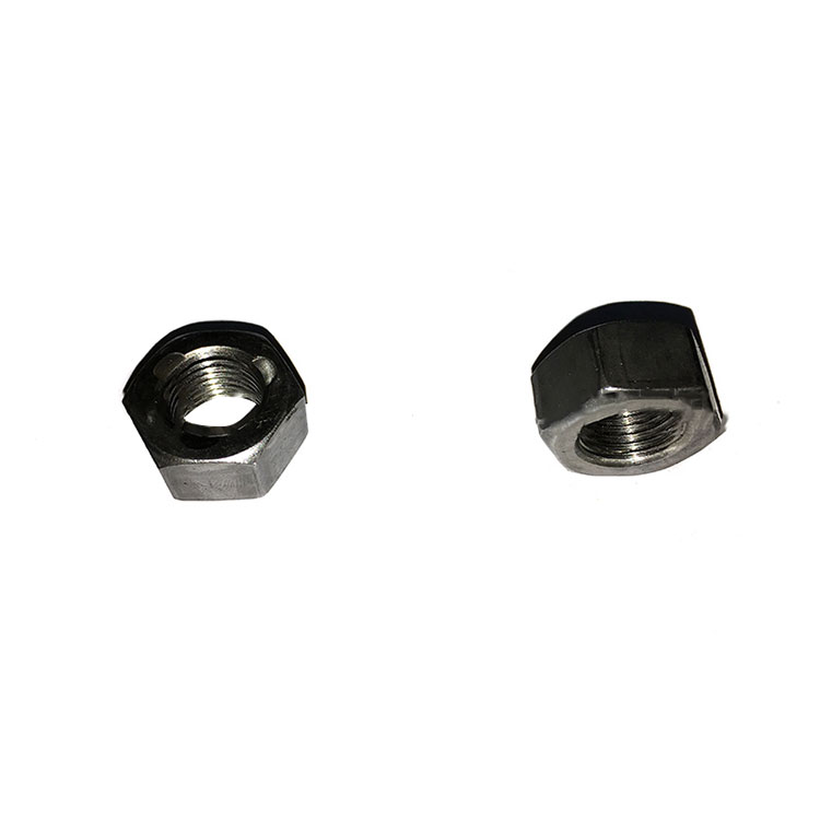 Hex Nut